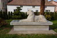 socha lva